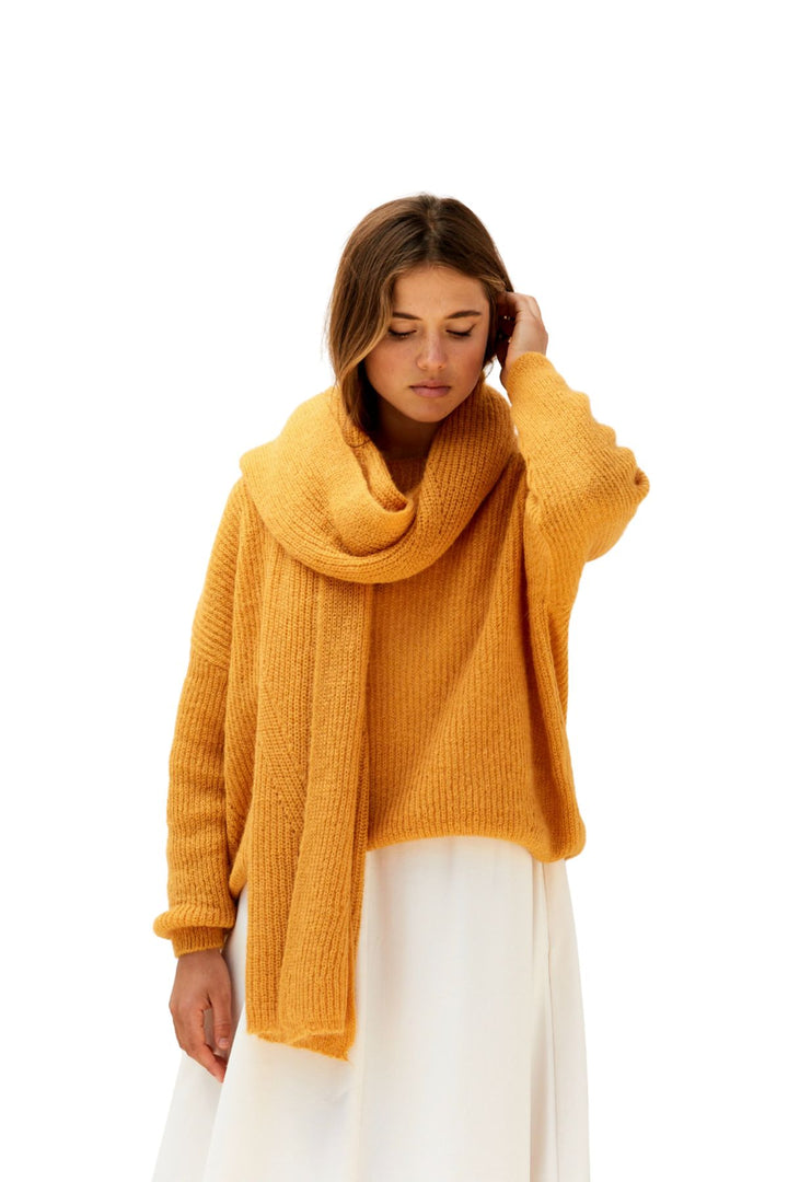 Juliette Spicy Pumpkin Pullover